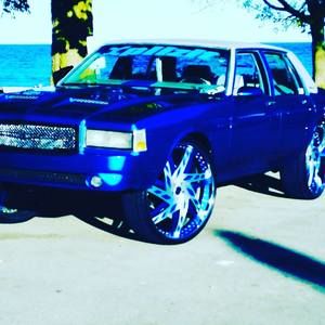 Meet your Posher, Bruce